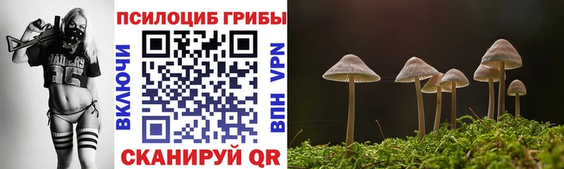 что такое наркотик  сайты даркнета Telegram  Галлюциногенные грибы GOLDEN TEACHER  Хилок 